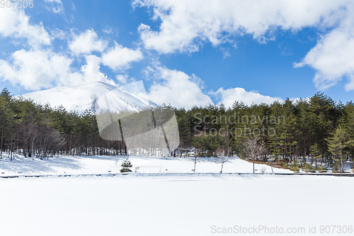 Image of Skating rink at outdoor