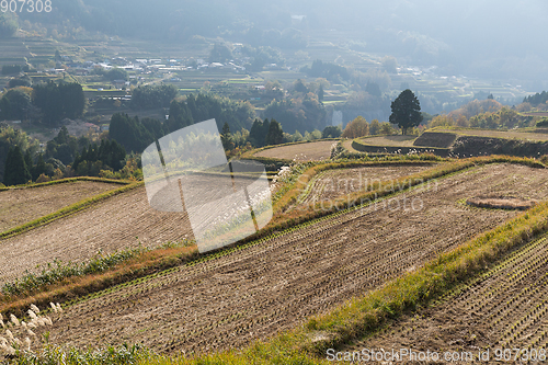 Image of Landscape with agricultural field