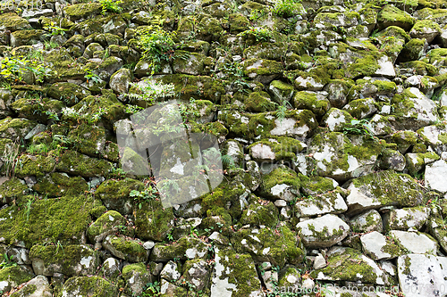 Image of Old Brick Wall with Moss