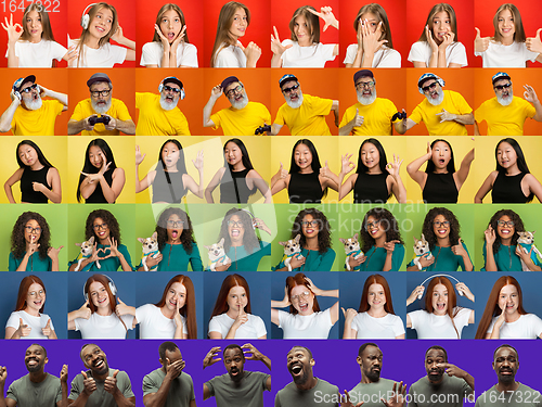 Image of Collage of portraits of multiethnic, mixed age group of people forming a pride flag