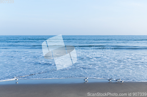 Image of Seascape