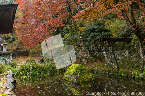 Image of Japanese park in autumn season