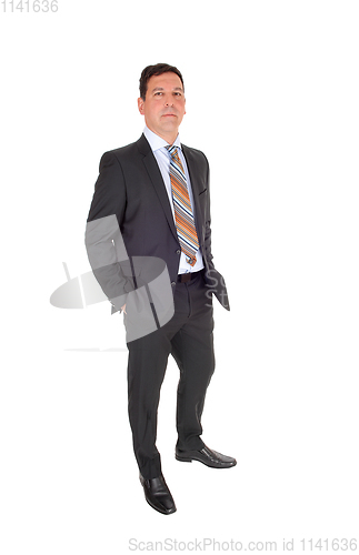 Image of Portrait of smiling handsome business man