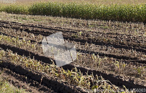 Image of agricultural field