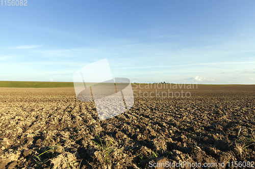 Image of plowed agricultural field