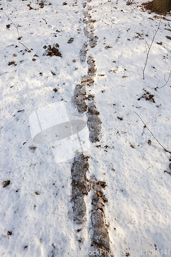 Image of Snow drifts in winter