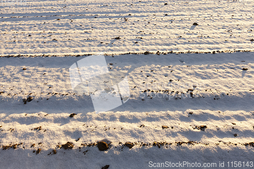 Image of Snow after snowfall