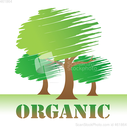 Image of Organic Trees Indicates Woods Environment And Reforestation
