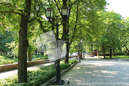 Image of People have a rest in park with greater trees