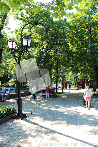 Image of People have a rest in park with greater trees