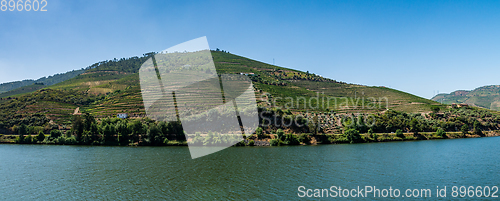 Image of Point of view shot of terraced vineyards in Douro Valley