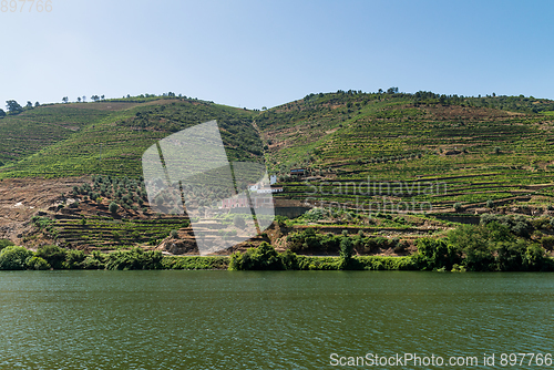 Image of View of Douro Valley, Portugal. 