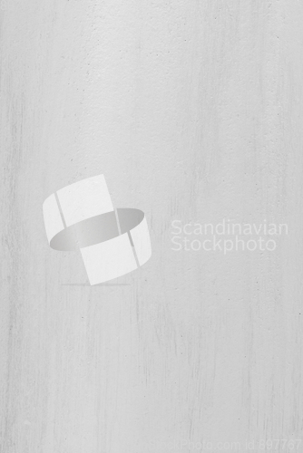Image of White wood