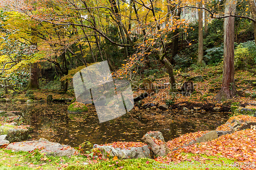 Image of Japanese garden in autumn season