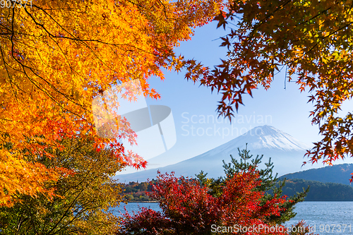 Image of Lake kawaguchiko and Mt.Fuji in autumn season