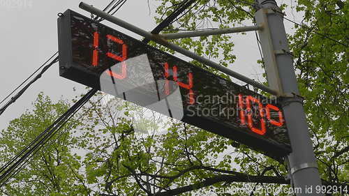 Image of Street electronic clock on the table in the foliage of a tree.