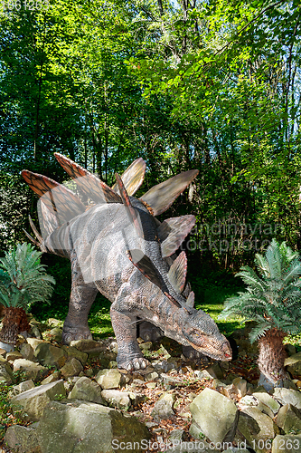 Image of prehistoric dinosaur stegosaurus in nature