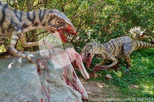 Image of prehistoric dinosaurs raptors attacking its prey