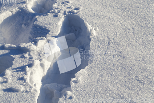 Image of Footprints , close up