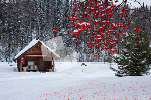 Image of Winter holiday house in forest.