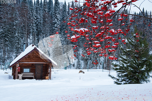 Image of Winter holiday house in forest.