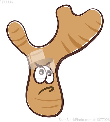 Image of Ginger, vector or color illustration.