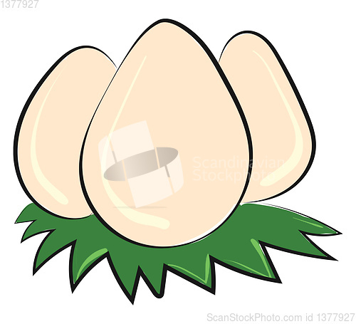 Image of Image of eggs icon, vector or color illustration.