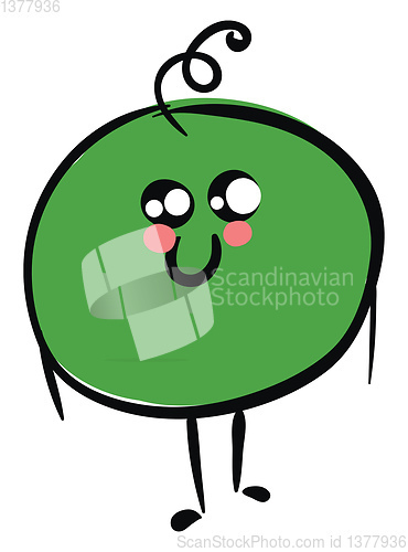 Image of Image of green peas, vector or color illustration.