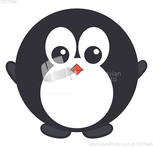 Image of Round penguin, vector or color illustration.