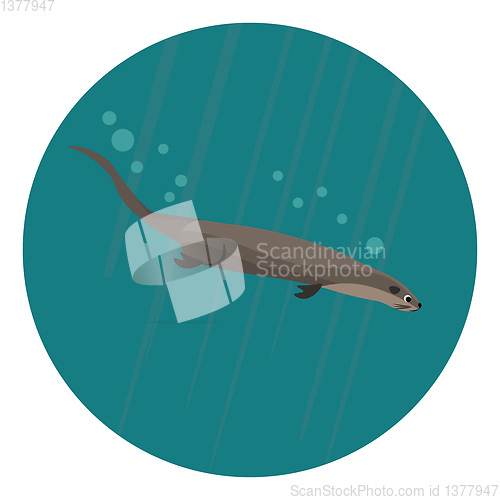 Image of Otter in water, vector or color illustration.