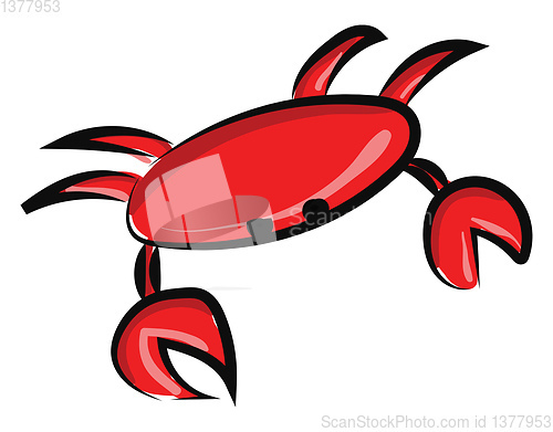 Image of Image of crab, vector or color illustration.