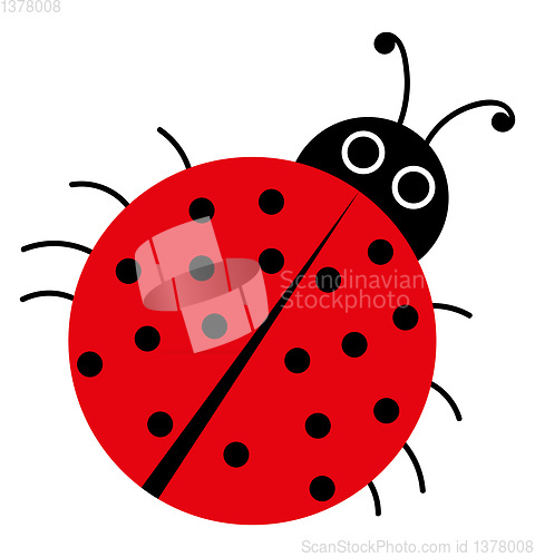 Image of A red Ladybug, vector or color illustration.