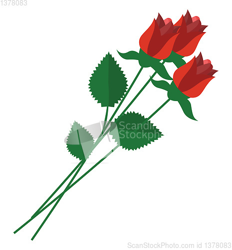 Image of Roses, vector or color illustration.