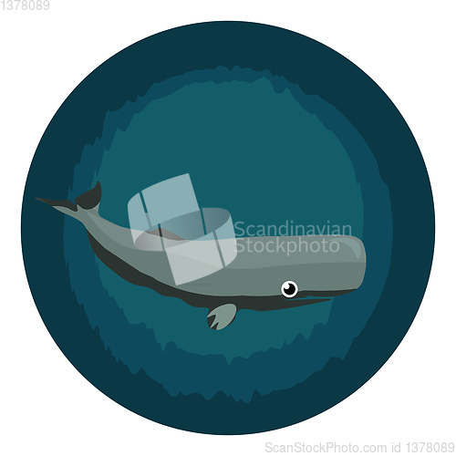 Image of Image of cachalot - sperm whale, vector or color illustration.