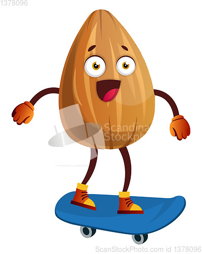 Image of Almond on a blue skateboard, illustration, vector on white backg