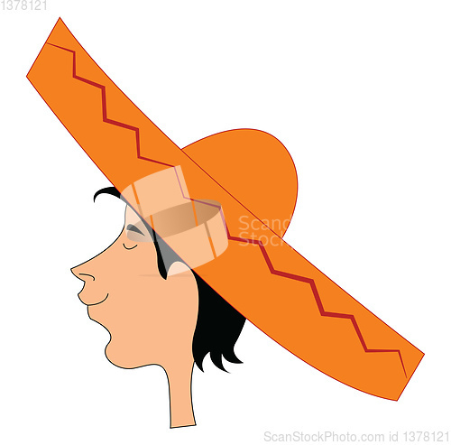Image of Image of Mexican hat, vector or color illustration.