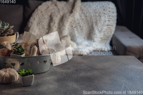 Image of Festive decorations, modern design isolated on grey and white background. Copy Space for ad, design.