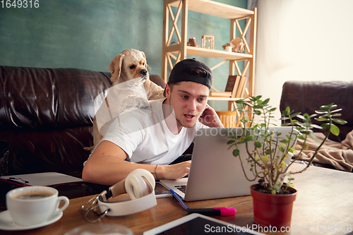 Image of Two best friends young man and American Cocker Spaniel cream colour sitting on sofa at home and using laptop, digital gadgets.