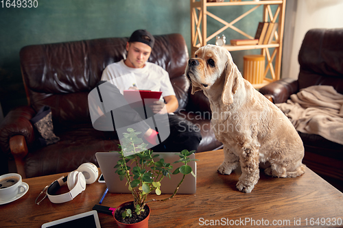Image of American Cocker Spaniel cream colour sitting on table at home with his owner young man, student, businessman.