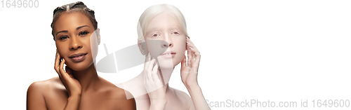 Image of Portrait of beautiful albino woman and african-american female isolated on white studio background. Skincare, cosmetics concept.