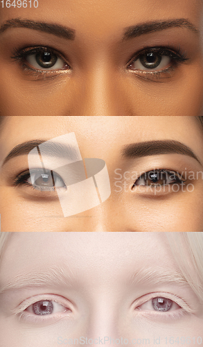 Image of Close up of faces of young women, focus on eyes. Vertical collage