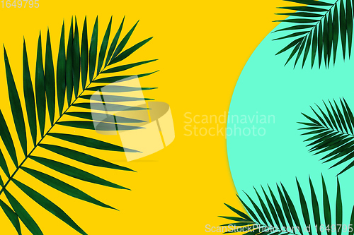 Image of Creative banner with tropical leaves on geometric two colours yellow and blue background. Flyer for ad, design.