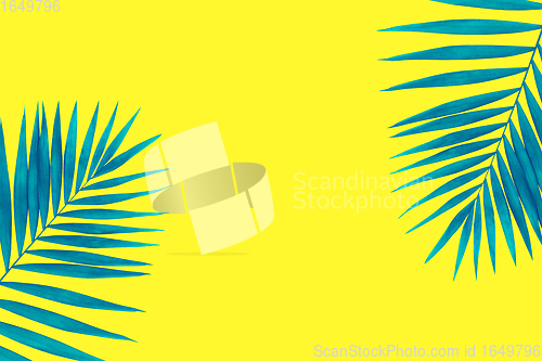 Image of Two blue tropical palm leaves isolated on bright yellow background. Flyer for ad, design.