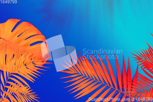 Image of Modern tropical pattern with exotic leaves isolated on bright background. Flyer for design. Copyspace for ad.