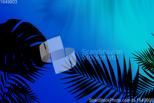 Image of Exotic tropical palm leaves isolated on purple blue gradient background. Flyer for ad, design.