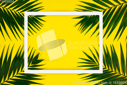 Image of Exotic green tropical palm leaves isolated on yellow background with white geometric frame. Flyer for ad, design.