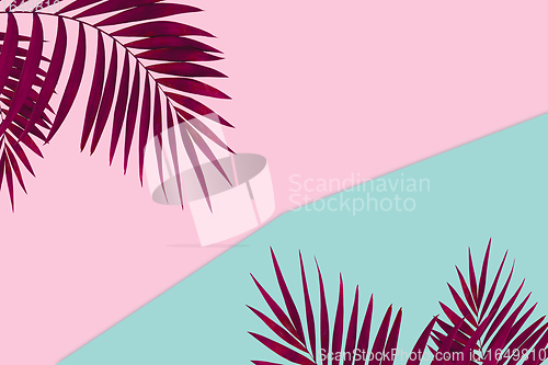 Image of Creative banner with tropical leaves on geometric two colours pink and blue background Flyer for ad, design.