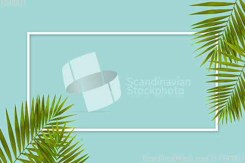 Image of Exotic green tropical palm leaves isolated on blue background with white geometric frame. Flyer for ad, design.