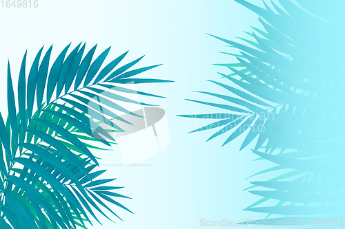 Image of Summer tropical exotic leaves isolated on white background. Flyer for design. Copyspace for ad.