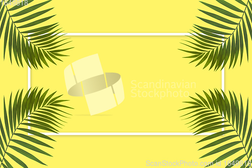 Image of Exotic green tropical palm leaves isolated on yellow background with white geometric frame. Flyer for ad, design.